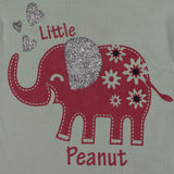 Nino Bambino 100% Organic Cotton Multi-Color Assorted Pack of 2 T-Shirt For Baby Girls