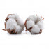 Advantages Of A Natural Approach To Baby Clothing