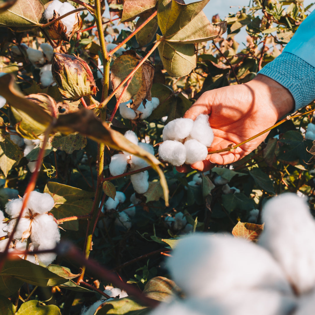 Organic Cotton vs. Synthetic Fabrics: Why Nino Bambino Chooses Natural.
